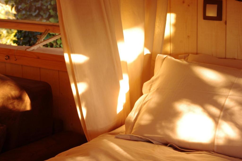 Bed and Breakfast Domaine Des Grands Cedres Cordelle Pokoj fotografie