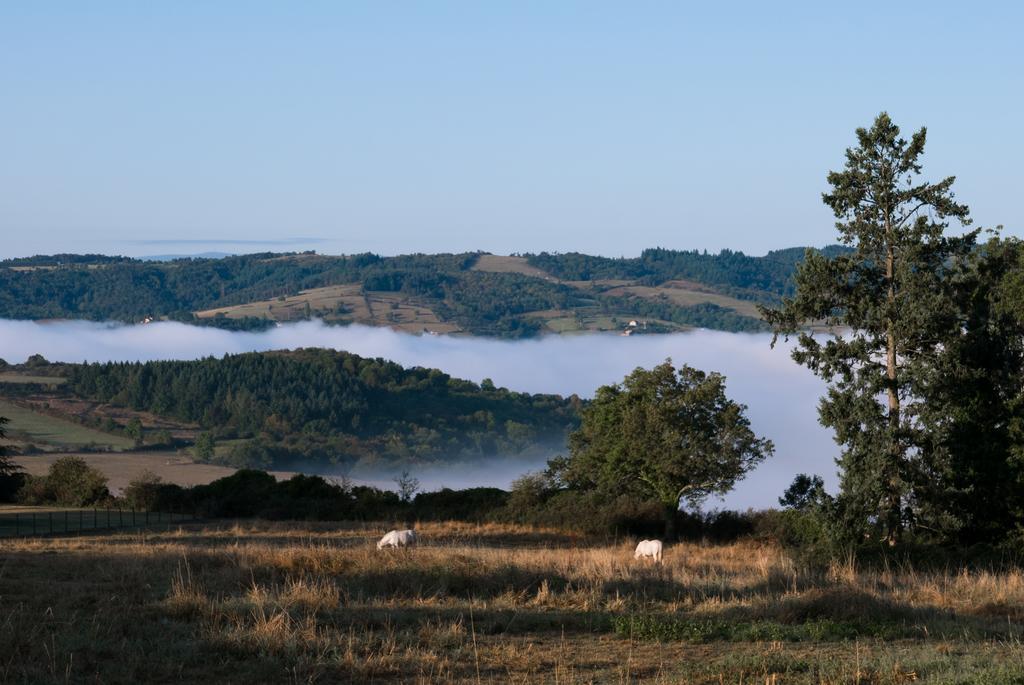 Bed and Breakfast Domaine Des Grands Cedres Cordelle Exteriér fotografie